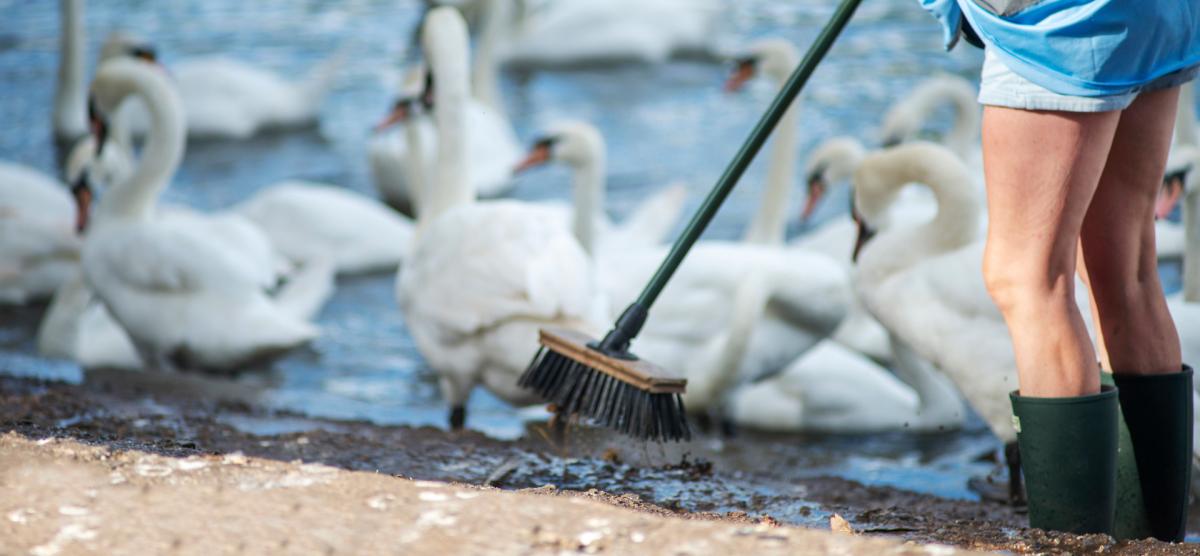 Protecting and caring for the River Avon