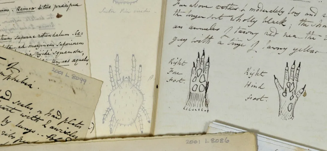 Leonard’s Diaries